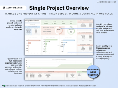 Project Budget & Cost Tracker