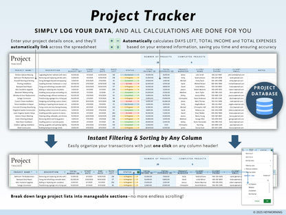 Project Budget & Cost